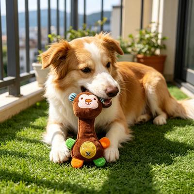 Pet Toy Sound Design Interactive Puppy Chew Toy with Built-in Rattle Cartoon Dog Monkey Design Teeth Oral Health Safe Chew Toy