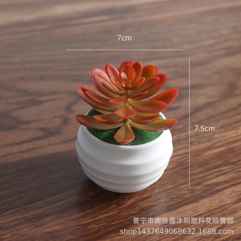 Artificial Succulent Mini Lotus Plant Decor Set Plastic DIY Terrarium Ornament Home Office Desk