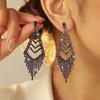 Rhinestone long fringed Internet celebrity stud earrings