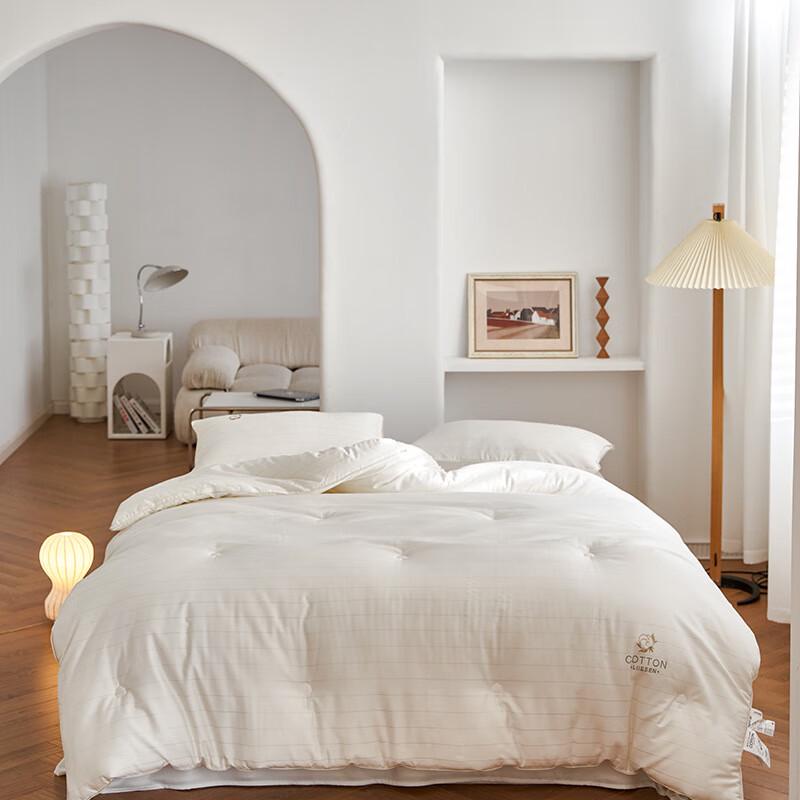 

Yuan Zhi Wei Premium Spring Autumn Blended Quilt 150x200cm