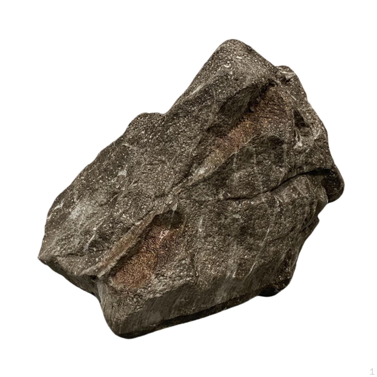 

Искусственная скала Имитация камня Скульптура Прочная Декоративная Креативная Легкая Ландшафтная декорация 35x22x27cm