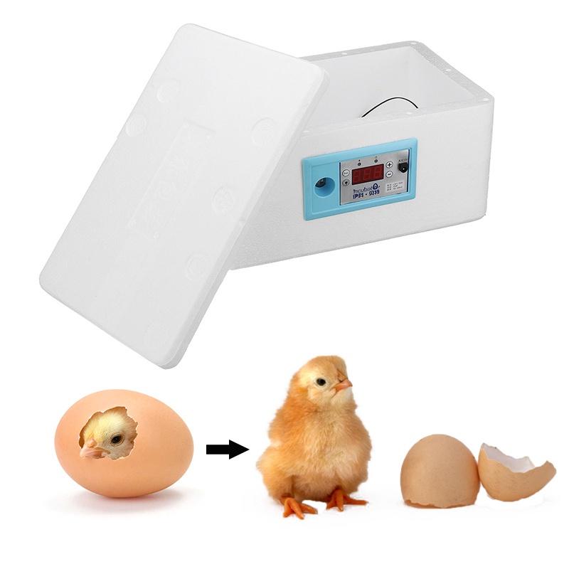 Automatisk Temperaturkontroll Digital Vattenbädds Inkubator Kycklingkläckare DC12V