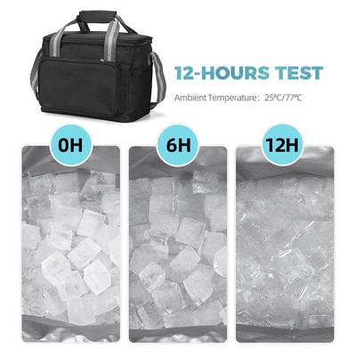 15L Kühltasche, tragbare isolierte Kühltasche für Reisen, Wandern, Strand, Picknick, Grillparty