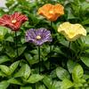 4Pcs Resin Flower Pollinators Cups, Garden Stake Bee Watering Station, Outdoor Small Bird Bath, Yard Art Decor Water Feeder for Hummingbird Butterfly