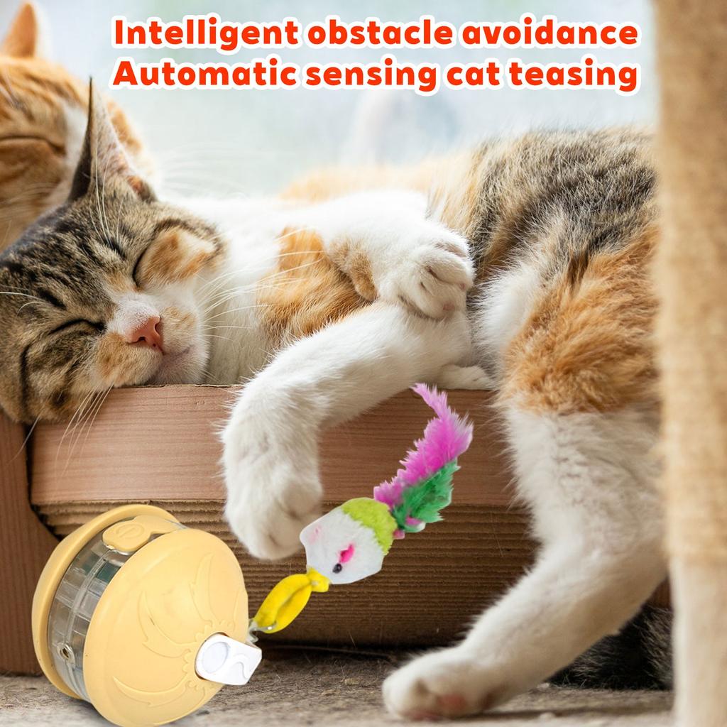 Indoor Cat Interactive Light Up Cat Toy, Rechargeable Electric Cat Ball, Electric Rolling Cat Toy(4 Tail Styles Are Sent Randomly)