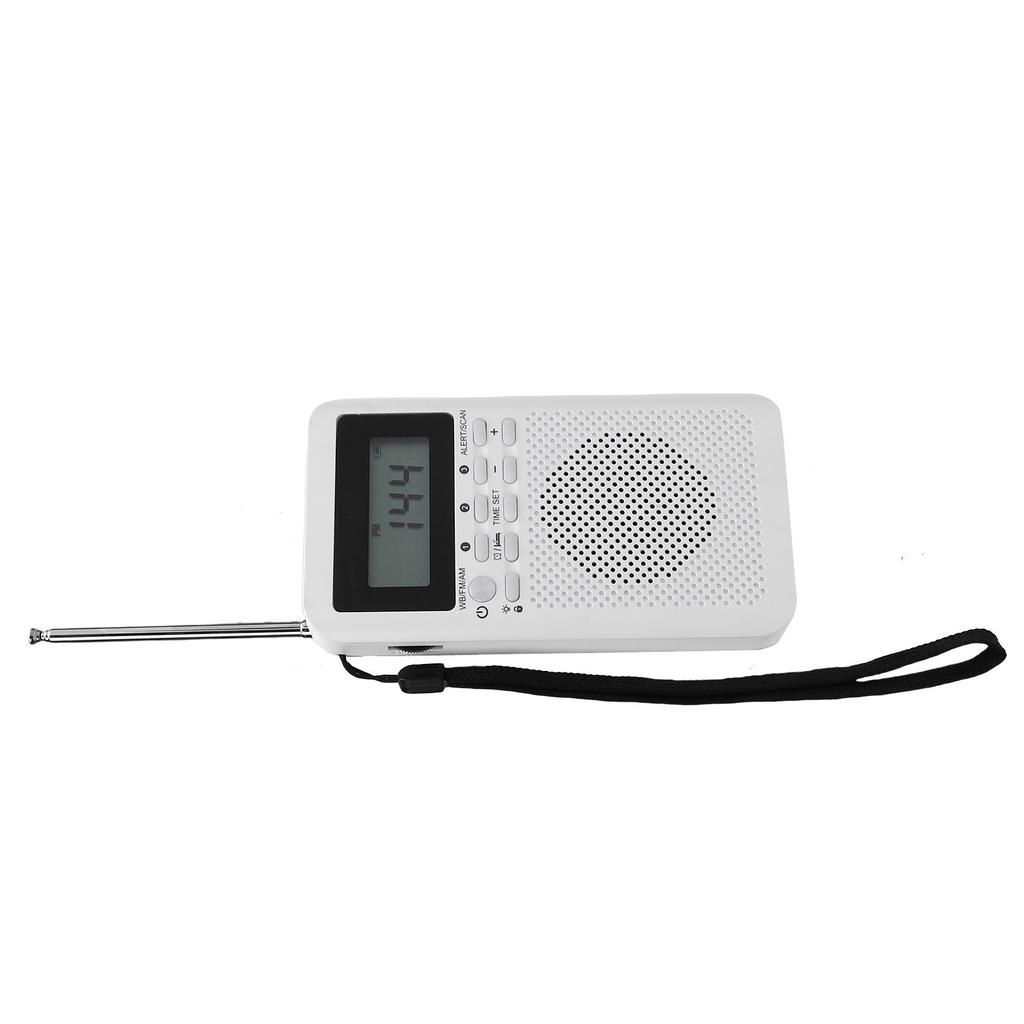 Micro Radio Portable Handheld AM FM WB Multiband for Indoor Outdoor Emergency Use Battery Powered