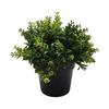 For Home For Office Fake Potted Plants Artificial Plants Home Decoration As Shown Artificial Plants For Home Decor