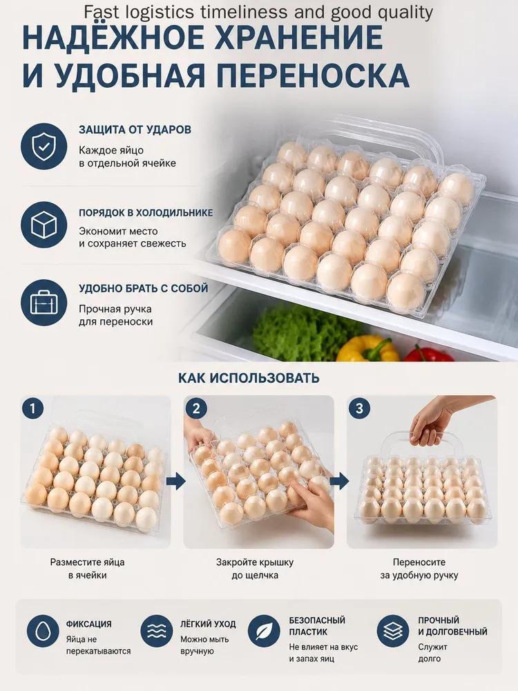 Egg Transport Box