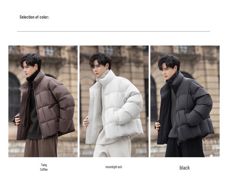 Men's 2025 Trendy Stand Collar Short Down Jacket - Casual Thick Warm White Duck Outerwear