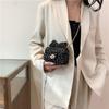Stylish Casual Spring Knit Small Crossbody Bag With Elegant Chain Strap For Women