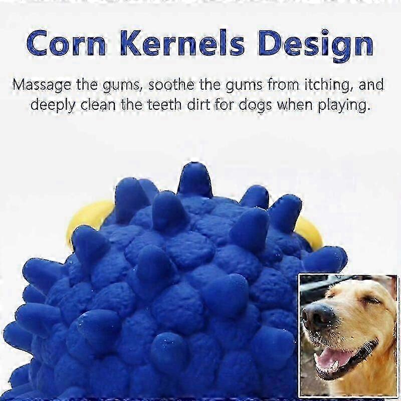 Dog Toy Interactive Toy, Dog Squeak Toys, Dog Toys Dog Squeaky Toy Sound Dog Toy Squeaky Toy Loves Dog Latex Toy Educational Toy Dog Chewing Toy (Hedg