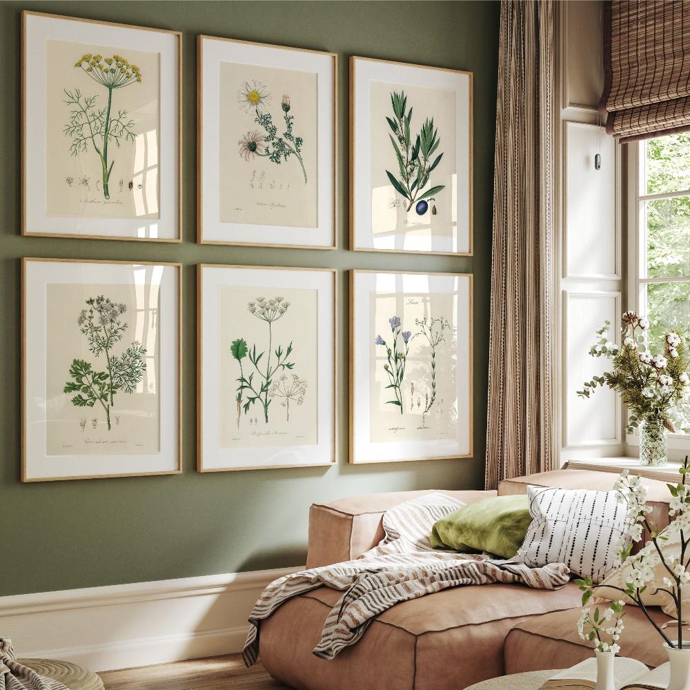 Botanical Vintage Prints Painitng Decoration Botanical Fern Wall Art Posters Modern Flower Wall Art Gift Print Home Room Decor