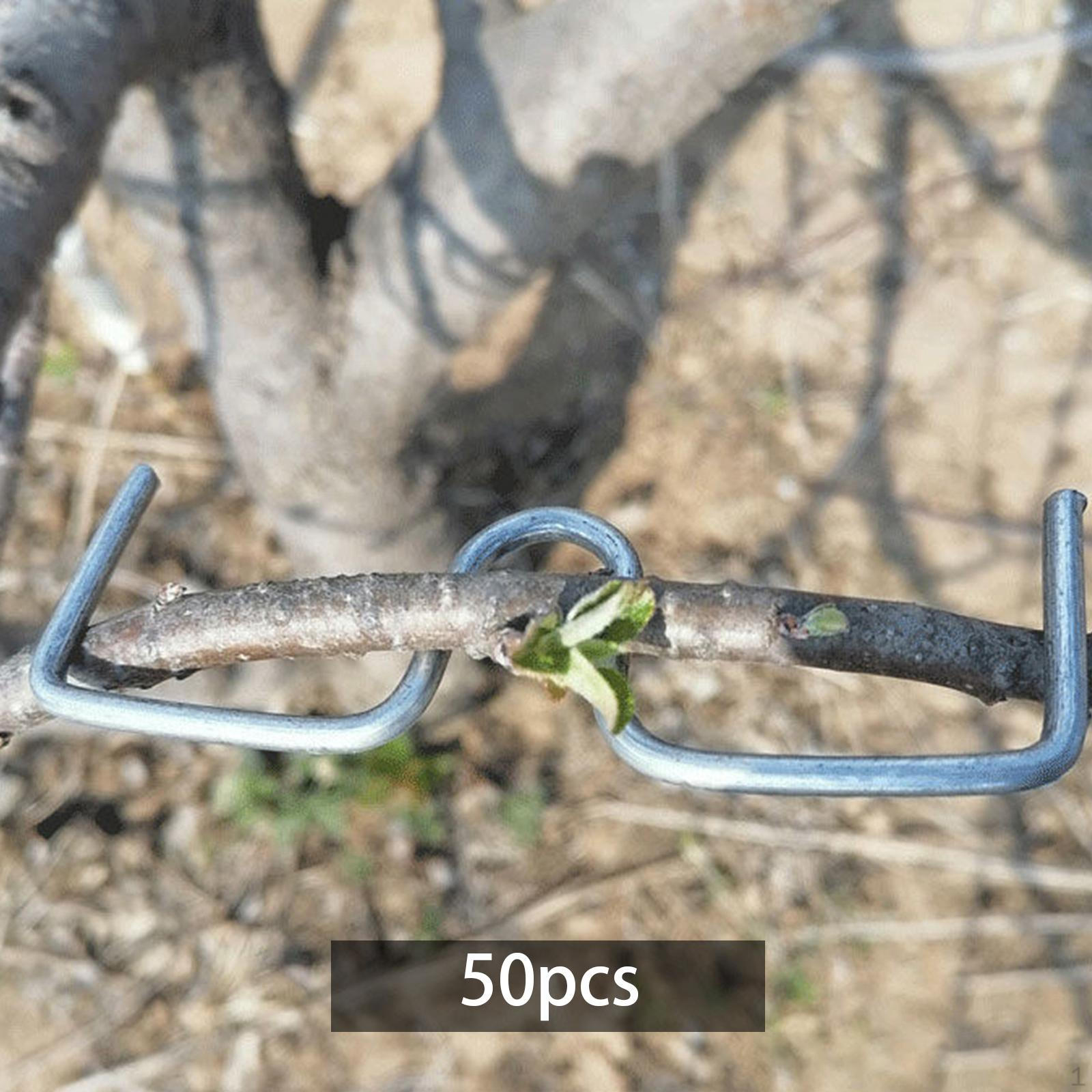 

50 шт., съемник ветвей фруктовых деревьев, формирователь стебля растения, поддержка изгиба для 10cm