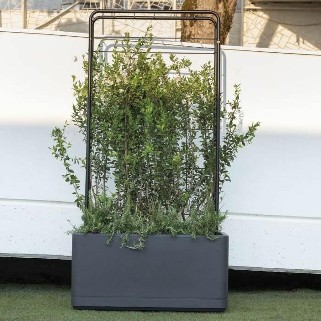 Self-watering Planter Deroma Anthracite 78 X 38 X 39 Cm Plastic Rectangular