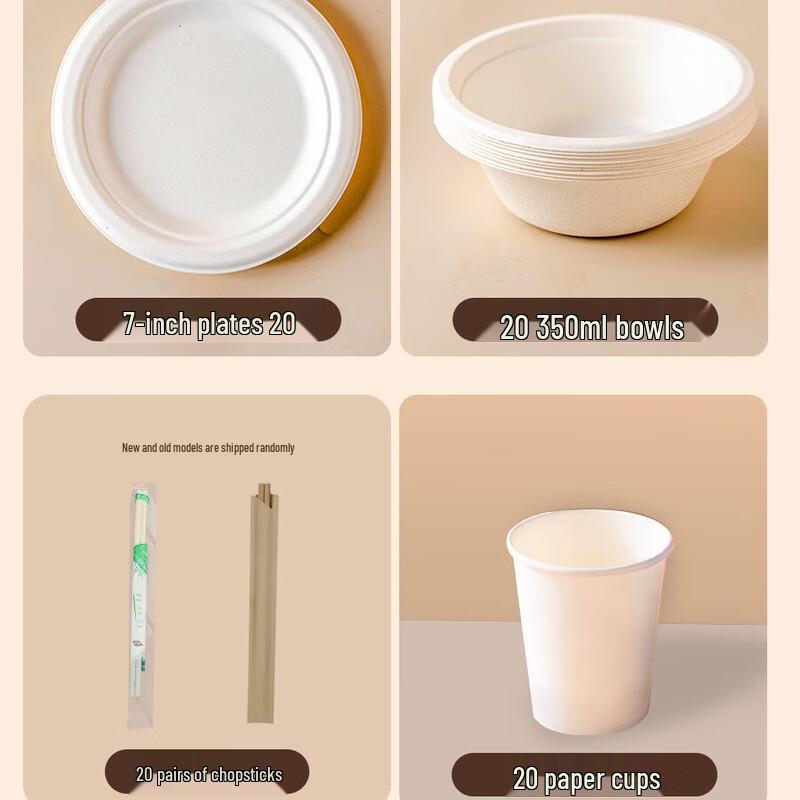 Eco-Friendly Disposable Pulp Meal Bowls