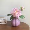Modern Onion Ceramic Vase Minimalist Flower Pot Creative Garlic Shape Vase  Dried Flower