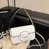 Niche Design Versatile Underarm Bag Women's New High-end Fashion Shoulder Messenger Bag Small Square Bag