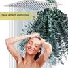 10 Pcs Real Leaves Hanging Dried Eucalyptus 22 Inch Home Decoration  Shower