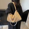 Autumn and Winter Large-capacity Velvet Tote Bag Women's New Simple Shoulder Commuter Bag Light Messenger Bag