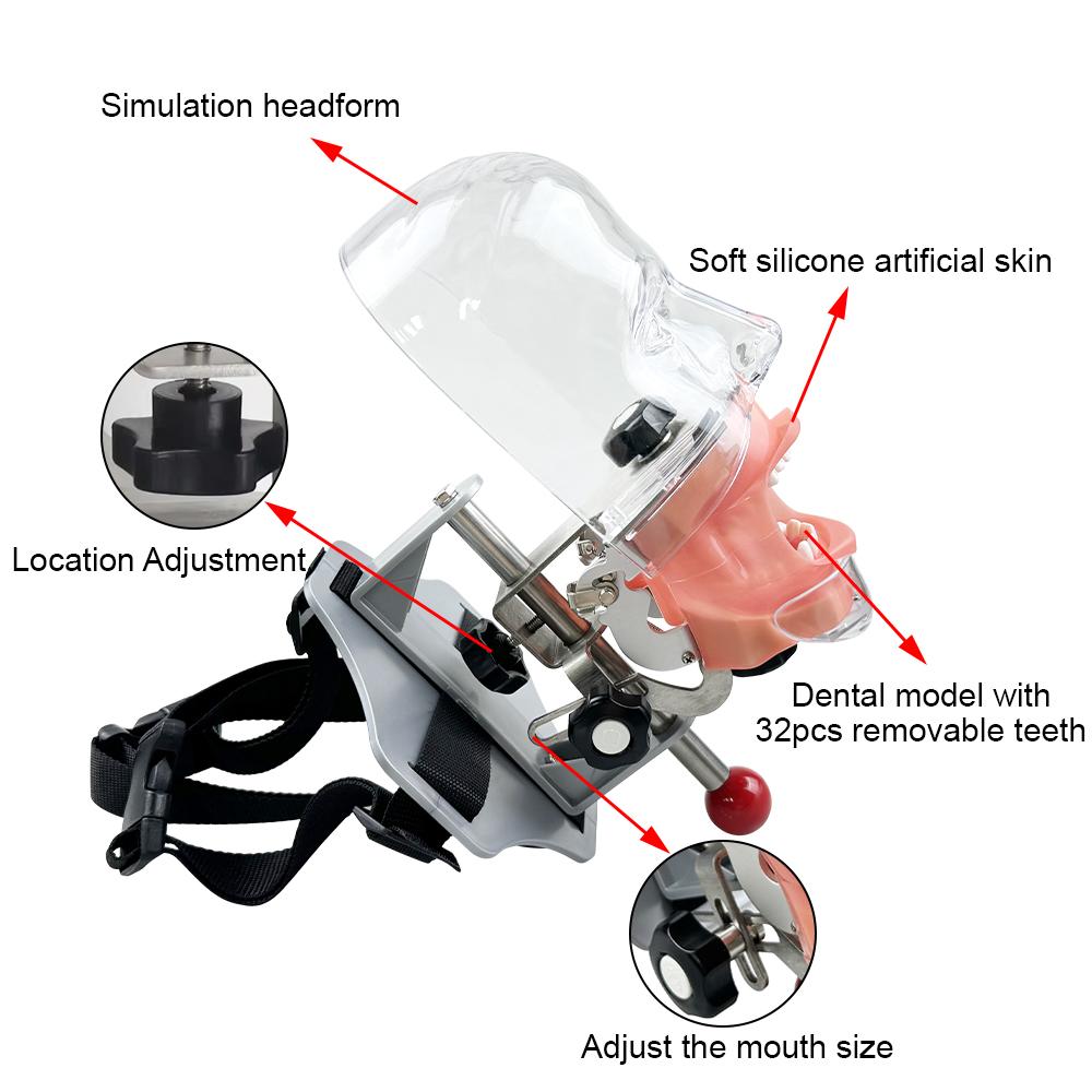 Model Capian Phantom Dentar Cu 28/32 Dinți de Rezervă Simulator Stomatologic Echipament Typodont Pentru Predarea Studierii Medicilor Dentisti Fierbinte