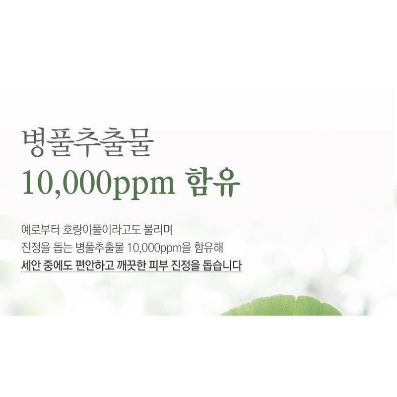 Nard Tea Tree Low pH Cleansing Foam