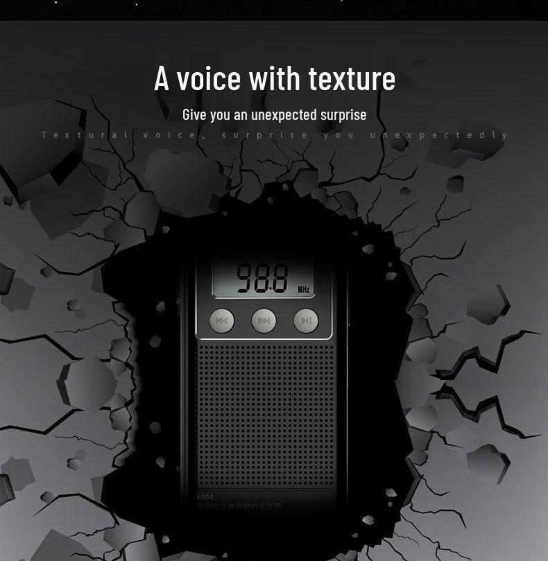 Panda6204 Mini Full Band Portable Radio Player