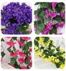 Violets Artificial Flower Rattan Fake Plant Vine Decoration Wall Hanging Roses Flowers for Home Wed Party interior outdoor Decor