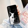 Yinuoda Cover per Telefono con Stampa Lupo Nero Cool per Huawei Y9 Y8 Y6 Prime Y7 Pro Y8s Y5 Mate 20 Pro 10 lite
