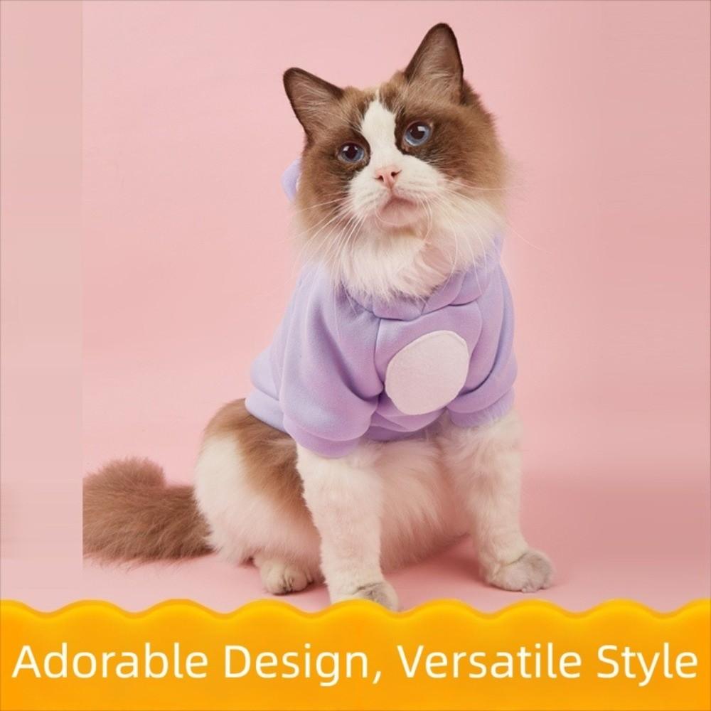 Solid Color Hairless Cat Clothes Winter Coat Bear Design Cat Hoodie Sweater Pullover Style Jumpsuit Design Pet Hoodie