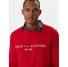 Худи Tommy Hilfiger Logo