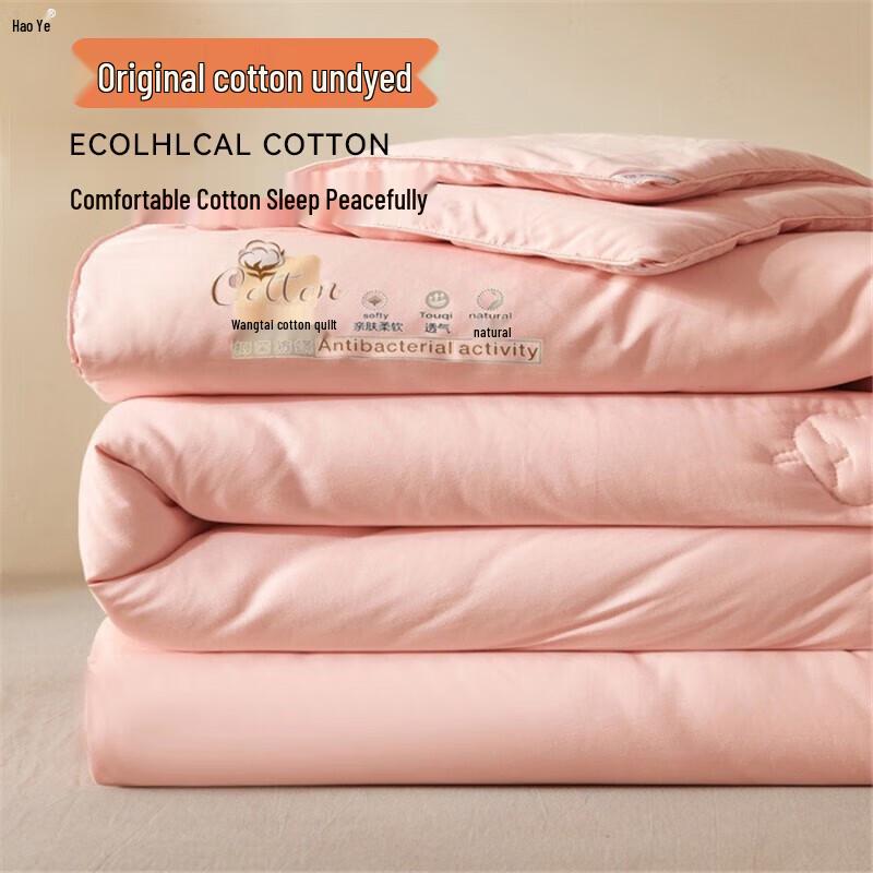 Haoye All-Season Thickened Cotton Quilt