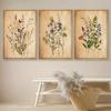 3pcs Vintage Wildflower Canvas Art Set - Modern Floral & Botanical Prints, Frameless Wall Decor for Living Room, Bedroom, Office