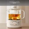 Joyoung All-Glass Wellness Kettle & Tea Maker CN plug (adapter included)