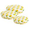 Bowl Covers Pineapple Set
