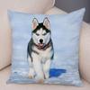 Pet Animal Sofa Cushion Cover Cute Siberian Husky Pillowcase Decorative Dog Print