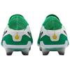 Nike Tiempo Legend 10 Elite FG Stadium Green Unisex Sneakers Dark-Obsidian HJ7272-300
