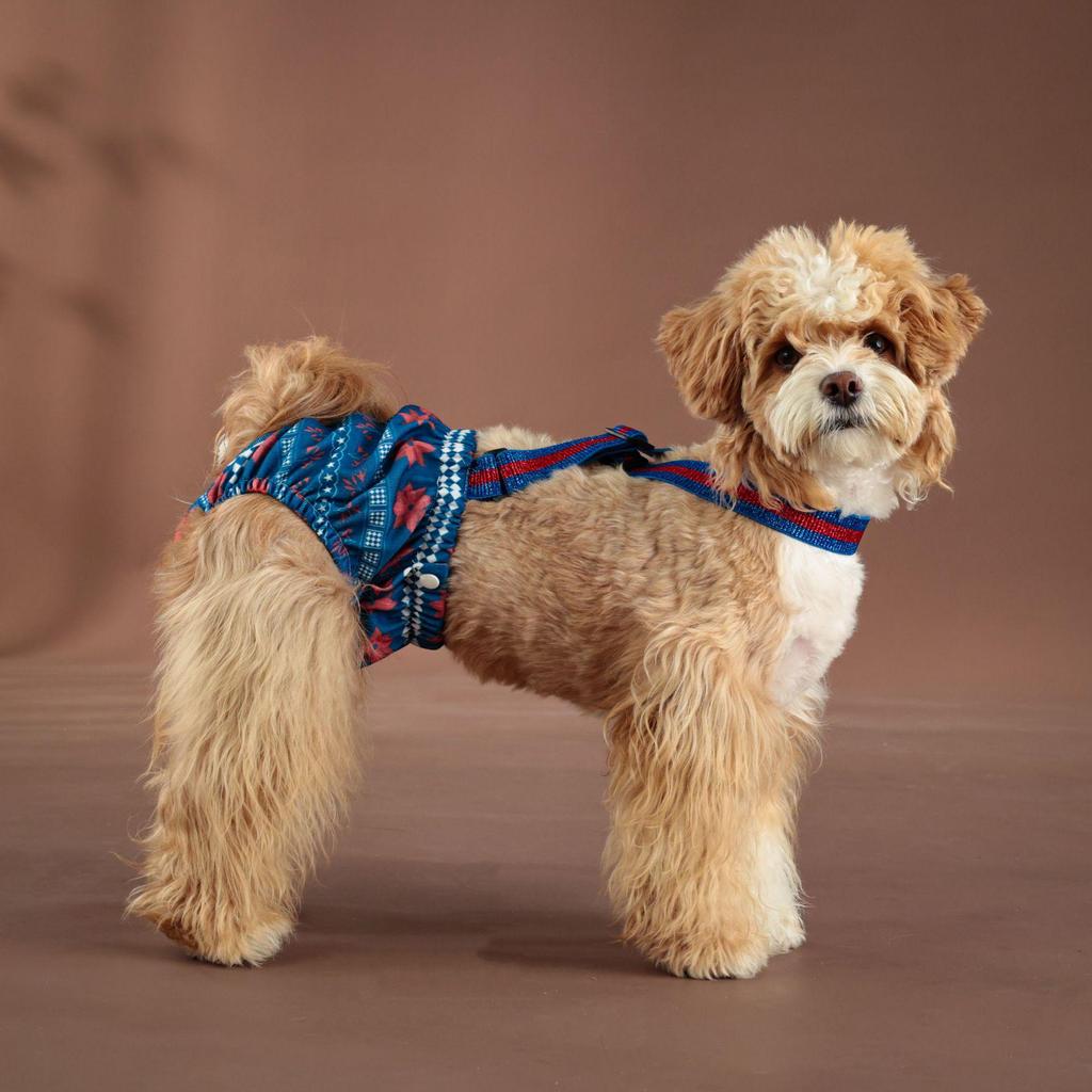 Large Dog Physiological Safety Suspenders - Female Dog Menstrual Anti-Harassment Pants