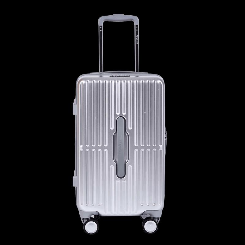 Diplomat DS-1372 ABS+PC Hardside Spinner Luggage