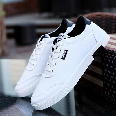 Men's Causal Shoes 2024 New Summer Men Canvas Shoes Breathable Classic Flat Male Brand Footwear Fashion Sneakers for Men Ghj7