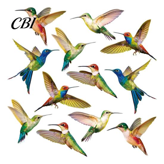 Indoor Window Sticker Bird Stickers, Anti-Collision Strike Prevention Decal, Static Cling Glass Collision Film for Windows Doors, UV Reflective