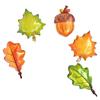 Leaf Balloon Pine Cone Maple Leaf Aluminum Film Balloon Thanksgiving Decoration Shopping Mall Children'S Kindergarten Activity Scene Arrangement