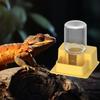 Multifunctional Transparent Reptiles Water Bowl Automatic Refill Function Reptiles Multi Level Design