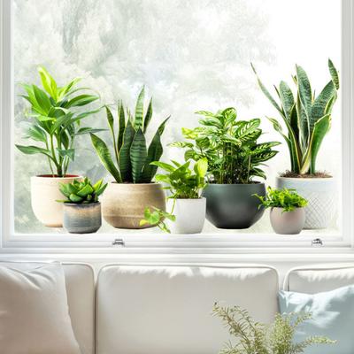 Fensteraufkleber Grüne Pflanzenaufkleber Selbstklebend PVC Wasserdicht Wandaufkleber Schlafzimmer Wohnzimmer