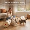 Fabric Tunnel Runner for Small Animals in Rooms, Arched Activity Passage with Suspended Toy Detail for Daily Exercise, Stalking and Rest Time