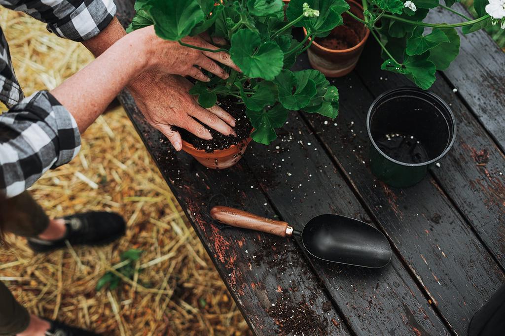 BAREBONES Garden Scoop [Official Japanese Distributor]