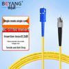 Boyang Telecom-Grade Fiber Optic Patch Cable