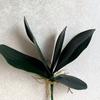 Artificial Green Phalaenopsis Leaves Faux Orchid Leaves Stem Real Touch Green Plant for Flower Arrangement Garden Bonsai Decor