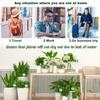Plant Watering Stakes, Large 10pcs Flower Automatic Watering Bulbs,Garden Self Watering Planter Insert for Daily Watering