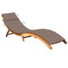 Day and Night - Day and Night Garden Lounger with Solid Acacia Wood Cushion