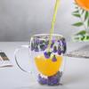 Double-layer Glass Mugs with Dry Flower and Handle for Coffee, Cocktails Elegant Glasses Cup for Entertaining Guest